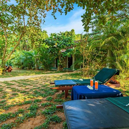 Sath Villa Naadi Ayurveda Resort Moragalla Zewnętrze zdjęcie