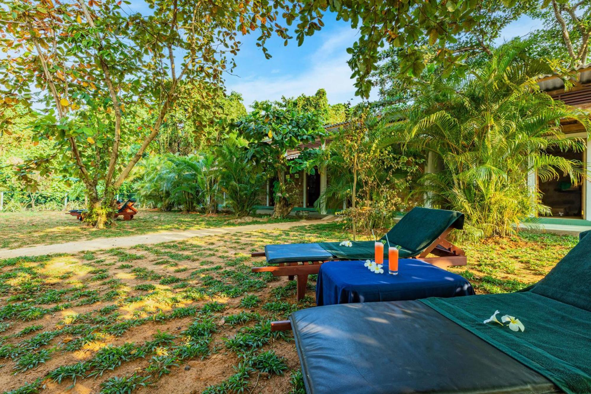 Sath Villa Naadi Ayurveda Resort Moragalla Zewnętrze zdjęcie